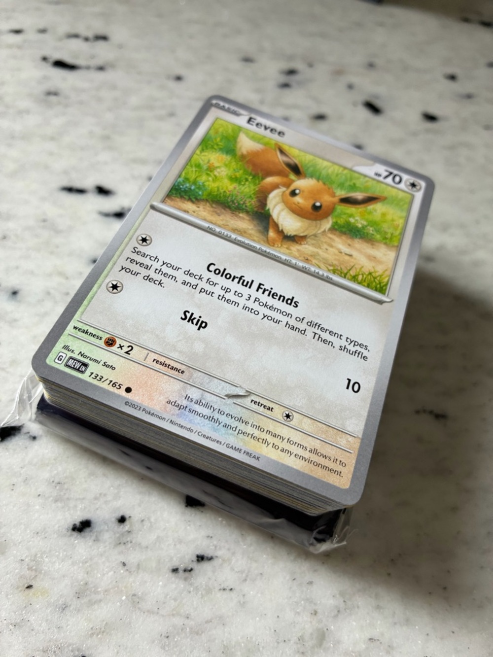 Memory Card Game POKEMON EDITION